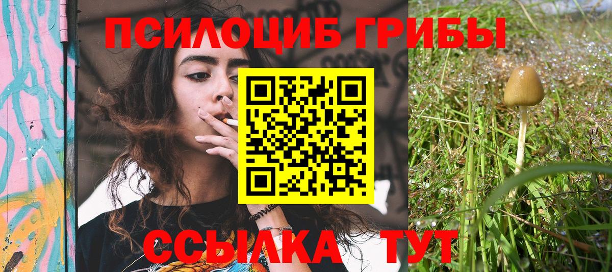 Псилоцибиновые грибы Psilocybine cubensis Нижнеудинск