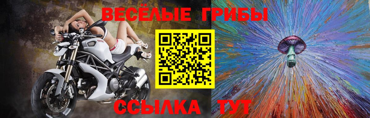 Нижнеудинск  Псилоцибиновые грибы Psilocybe  Вход с VPN  Псилоцибиновые грибы прущие грибы 